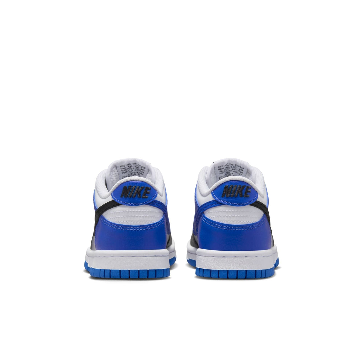 Nike Dunk Low (GS) - HJ9209-400