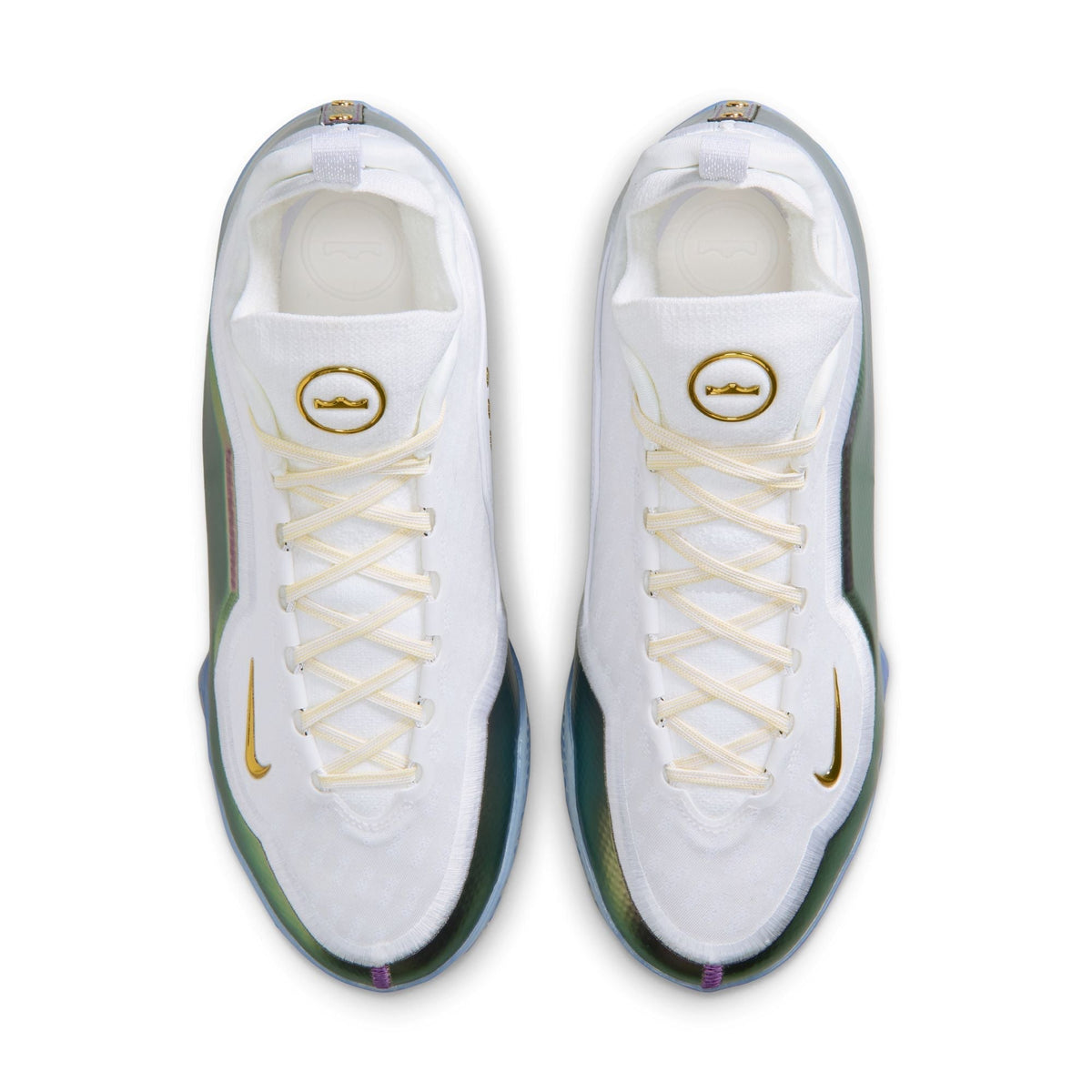 Nike Lebron XXIII Elite "For The Record" - IB9557-100